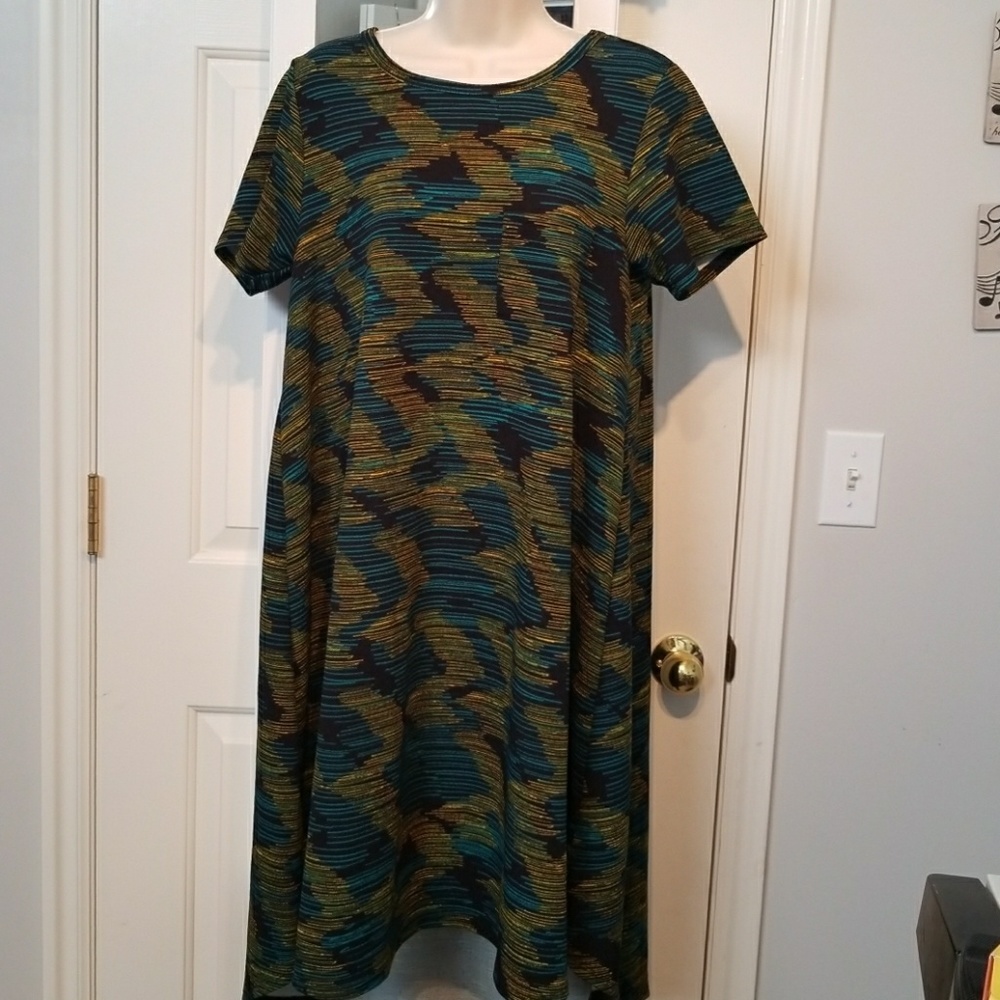 Amazing nwot Lularoe Carly small